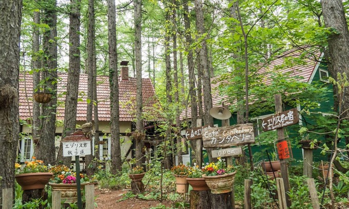 Nakasatsunai House | The squirrel's guesthouse Canterbury