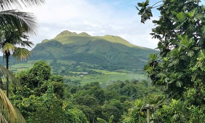 Le Lorrain House | The Thebaid house