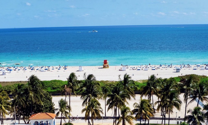Flamingo/Lummus Hotel | The Tony Hotel South Beach