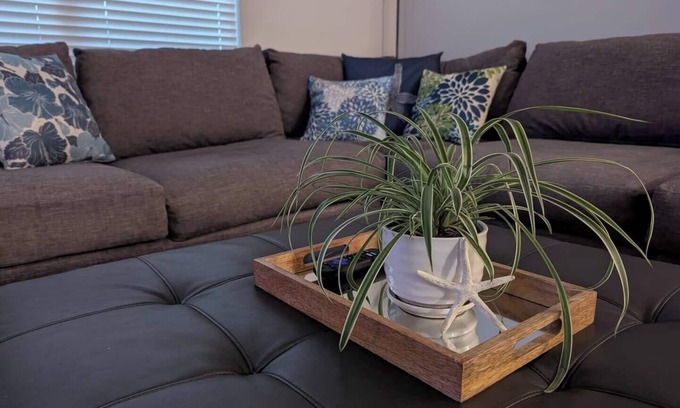 Bellview House | This house is a 3 bedroom(s), 2 bathrooms, located in Bellview, FL.