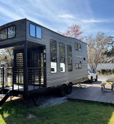 Florida Panhandle Other | Timberwolf in the Park