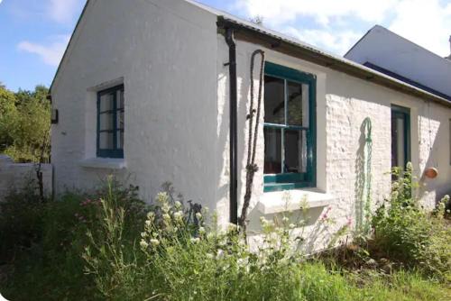 Fishguard Apartment | Tiny Cosy Snug