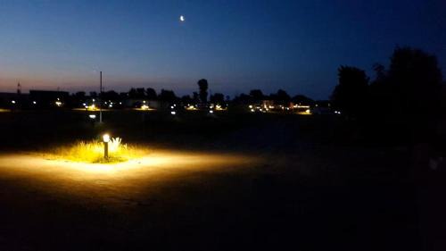 Arbshagen Other | Tiny Haus C235 Wacholderdrossel