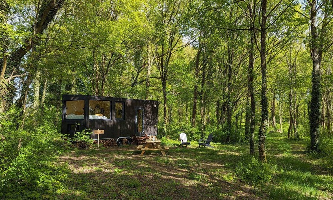 Sonchamp Cabin | Tiny House La Clairière Au Cœur de la Forêt !