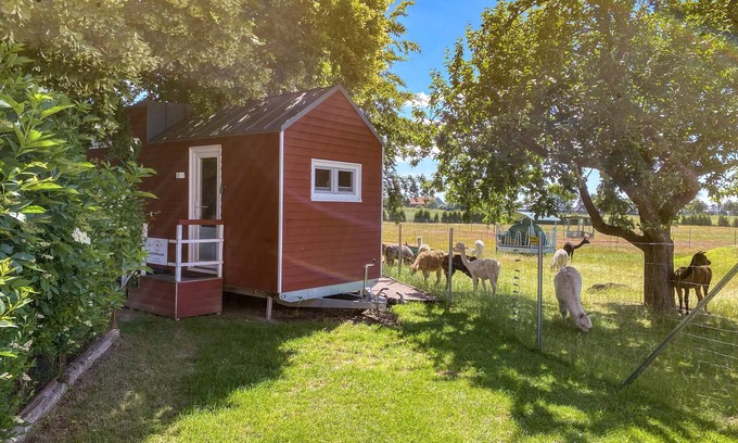 Rubkow Other | Tiny house on the alpaca farm - Tiny House