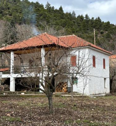 Aigialeia House | To XYLINO