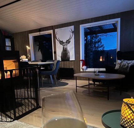 Sirdal House | Tonstad hytta