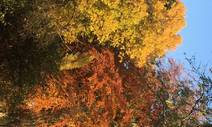 Anger-Crottendorf House | Top holiday home right on the park in Leipzig!