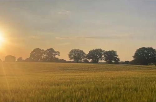 Sherborne St. John Apartment | Tranquil detached barns in Sherborne St John