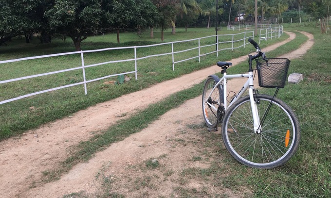 Gudiyatham Other | Tranquility and fresh air amidst greenery