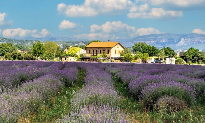 Hampden South House | Transform your Travel at Denver Marriott Tech Center
