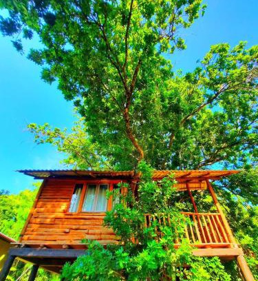 Sevanagala Hotel | Tree House 4 Nature Lovers