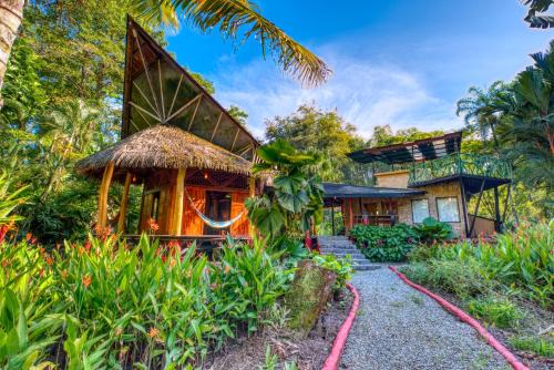 Chiguata Cabin | Tree House Beachfront Lodge