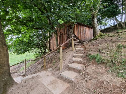 Oakford House | Tree House