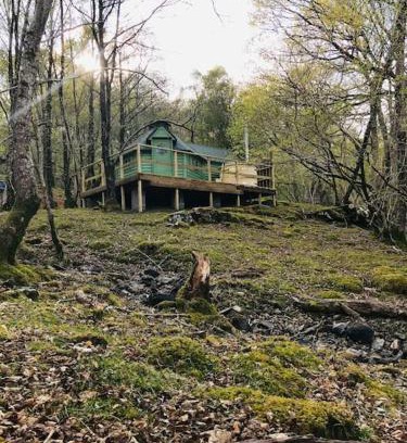 Llanelltyd Apartment | Tree Top Cabin with Private Hot Tub