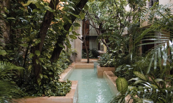 Zona Paseo Montejo Hotel | TreeHouse Boutique Hotel - Adults Only