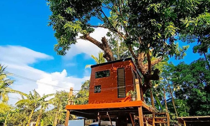 Magallanes Other | Treehouse
