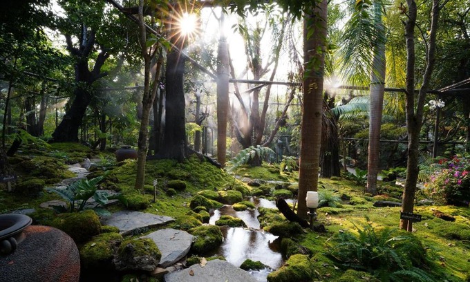 Nong Kwai Resort | Treescape Resort Chiangmai