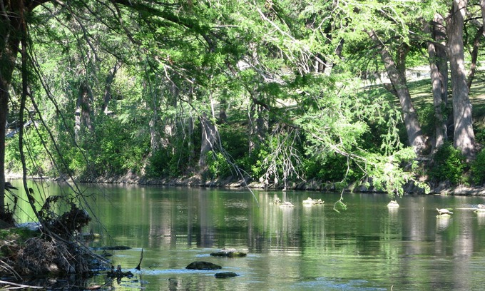 New Braunfels Condo | Treetop Retreat on the Guadalupe Ultra Private 3rd Floor End Unit