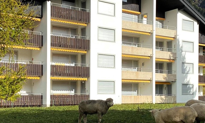 Parpan Apartment | Triangel D Sieben by Interhome