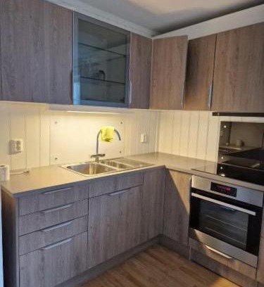 Innbygda Apartment | Trysil sentrum leilighet