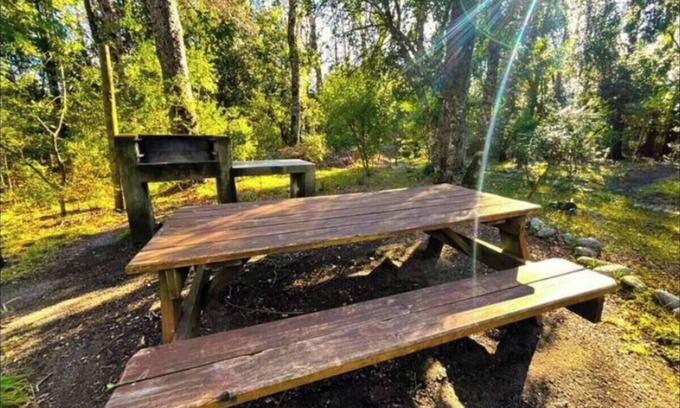 Pucon Apartment | Tu refugio en Pucón: bosque nativo, volcán, centro ski