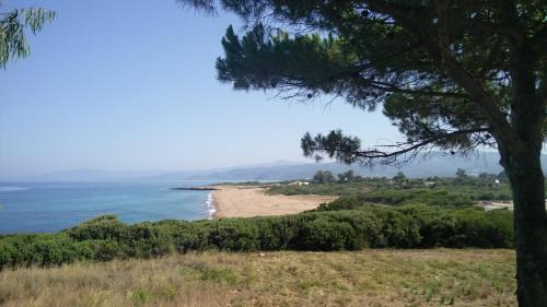 Kiparissia House | Tzanetos Seaside