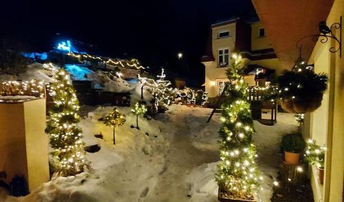 Svoboda nad Upou Apartment | Ubytování v soukromí - Apartmán MERAN