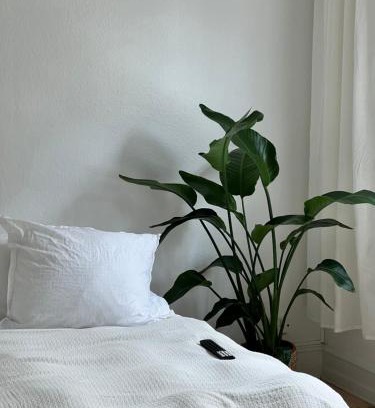 Frederiksberg Apartment | Unique location