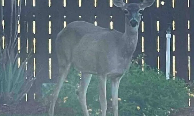 Red Bluff House | Unwind and relax at our country cozy getaway home