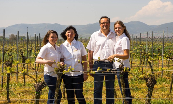 Neustadt-Duttweiler Apartment | Urlaub in Einem Weingut. Hautnah die Arbeit Eines Winzers Miterleben