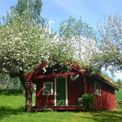 Innfjorden Apartment | Vårsetra