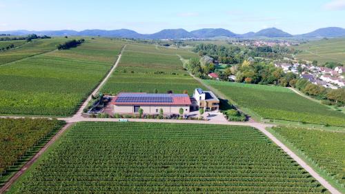 Wollmesheim Hotel | Vögelis WeinNest