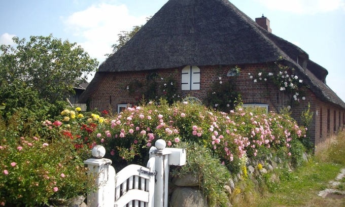 Emmelsbuell-Horsbuell Apartment | Vacation apartment/apartment for 4 guests with 28m² in Emmelsbüll-Horsbüll (125663)