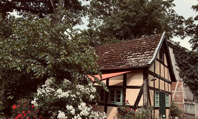 Donstorf House | Vacation home for 3 guests with 60m² in Eydelstedt (166015)