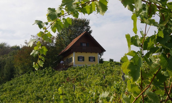 Marktl Cottage | Vacation home in the middle of vineyards