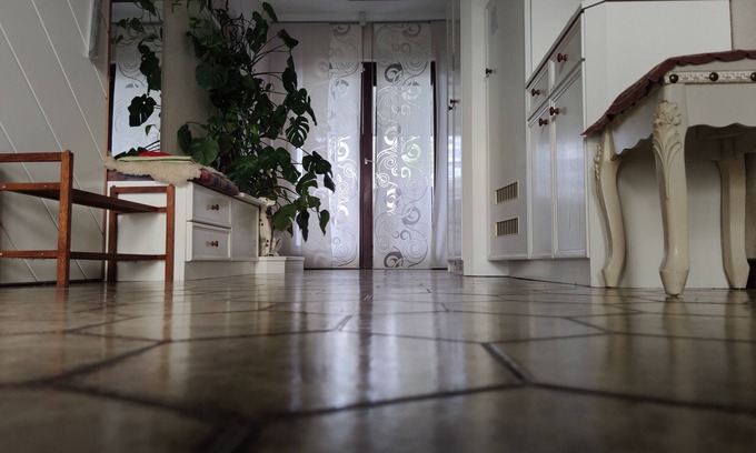 Stegersbach House | VACATION WITH DOG IN VACATION HOME WITH TERRACE GARDEN AND POOL