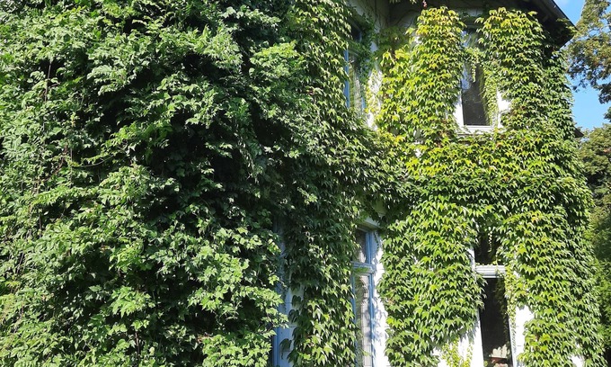 Altkalen Apartment | Vacations at the Gutshof Alt-Pannekow (with spa area)-Dogs welcome (max. 4P)