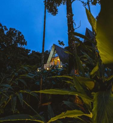 Elappara House | Vagamon Leafmist frame cabin vagamon