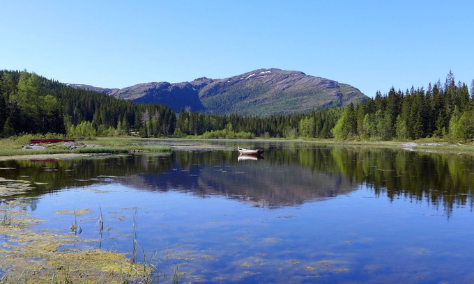 Brønnøy Cabin | Velfjord camping & hytter