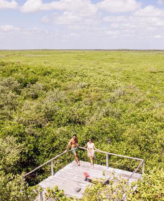 Zona Hotelera Cabin | Vida Silvestre
