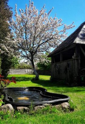 Engure House | Viesu nams Klāņas