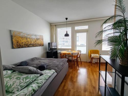 Oulu Apartment | Viihtyisä yksiö Alppilassa