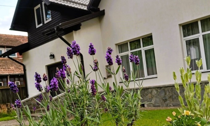 Busteni Villa | Vila Panduri 23, Bușteni – A Hidden Gem in Romania’s Carpathian Mountains