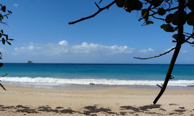 Sainte-Rose Apartment | VILLA ALIZÉE APPARTEMENT 3