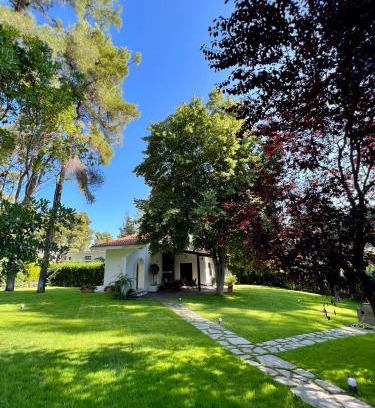 Sane Villa | Villa Diomedes