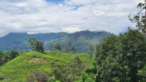 Ella Bed & Breakfast | Villa Emerald Ella