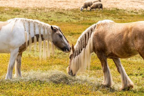 Saint-Joseph Apartment | Villa et grand jacuzzi six personnes, en pleine nature