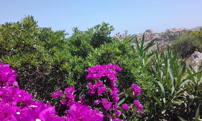 Villaggio Piras Villa | Villa il Poggio
