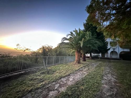 Raccuja Bed & Breakfast | Villa il Vecchio Abete